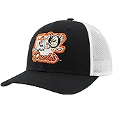 ZHATS NHL Unisex-Adult NHL Officially Licensed Adjustable Snapback Hat Big Rig Freeway