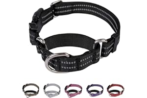 Hikiko Martingale Dog Collars Reflective Nylon Dog Collar with Quick Release Buckle Adjustable Training No Slip Dog Collar (Medium, Black)