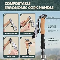 GPTCAMP Nordic Walking Stick, TPZ-1, Black 2pc