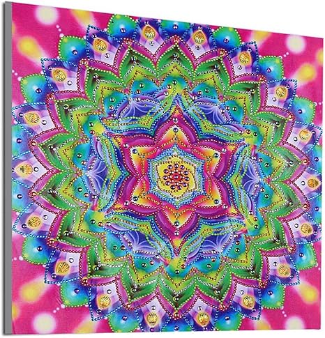 Ross Beauty Kit De Pintura De Diamantes 5d Con Forma Especial Para Manualidades Diseno De Mandala Flores Y Diamantes De Imitacion Para Decoracion De Pared Amazon Es Juguetes Y Juegos