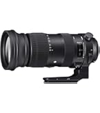 Amazon.com : Sigma 50-500mm f/4.5-6.3 APO DG OS HSM SLD Ultra