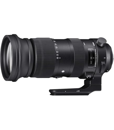 シグマ60-600mmF4.5-6.3DGOS HSMSportsキヤノンEF用 シグマ、「60-600mm F4.5-6.3」「70-200mm F2.8」の一部不具合で