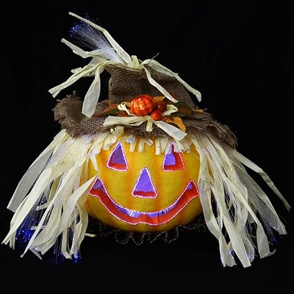 Halloween Mains Operated Light Up Fibre Optic Straw Haired