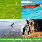 Vivifying Reflective Floating Long Dog Lead 10M 32ft Green with Soft Handle view 7