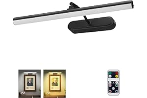 RAIFOOLLY Picture Light,3AA Battery Wall Lights,Wireless Art Lights for Paintings,Remote Control Accent Light with Timer and Dimmable for Frame,Portrait,Mirror-Black