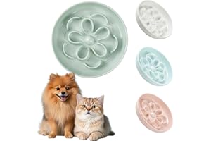 PTOBER Melamine Cat Slow Feeder Bowl - Floral Maze Cat Food Dish - Flat Plate for Dry & Wet Food - Cute Kitten Bowl - Dishwasher Safe - 6.3'' W x 1'' H - 5.5 oz (160g) - Green