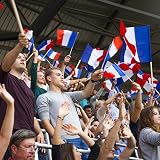 AhfuLife 15 Pcs France Flags on Sticks 14x21cm 30cm Pole Party Decor view 6