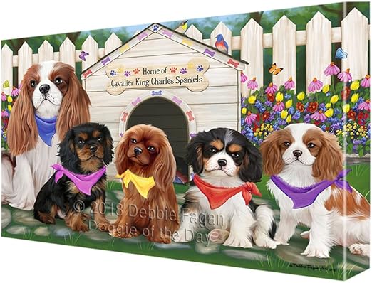 cavalier spring charles spaniel