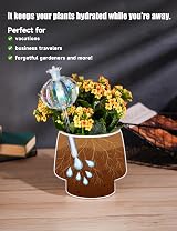 NiHome Large Plant Watering Globes 2-Pack Iridescent Glass Cactus 140 ml view 5