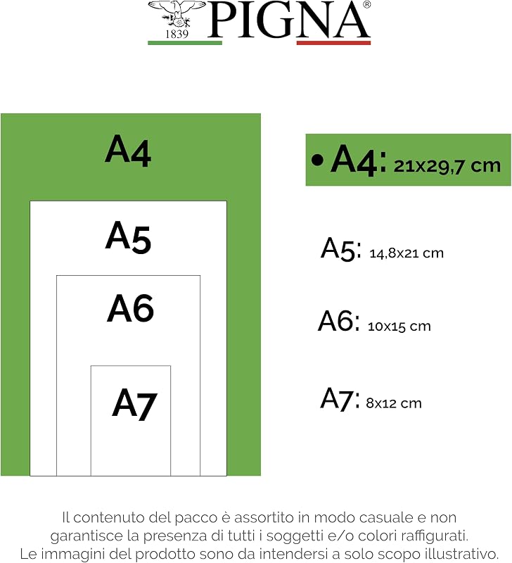 , Maxi Cores, A4 21x29,7 cm, 80 g/m², Capa de cartão revestido de um lado, Folhas de grelha com margens para elementar, Cores variadas, 10