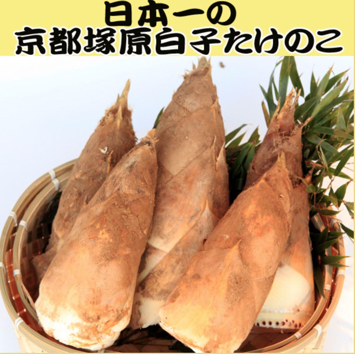 Amazon 今が旬 朝掘りたけのこ筍4kg当日発送 京たけのこのトップブランド大枝塚原産 不明 たけのこ 通販
