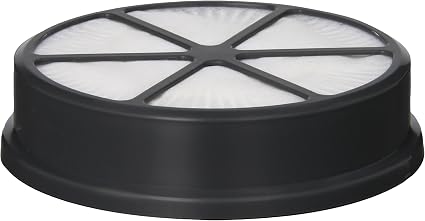 hoover filter smells