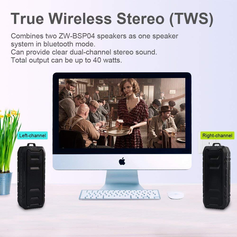 Bluetooth Speaker 20W, Zoweetek Bluetooth 4.2 Wireless Speaker with 24-Hour Playtime, TWS, Dual-Driver, Low Harmonic Distortion, Deep Bass, TF Card Slot for Outdoor Indoor (1 Pack)
