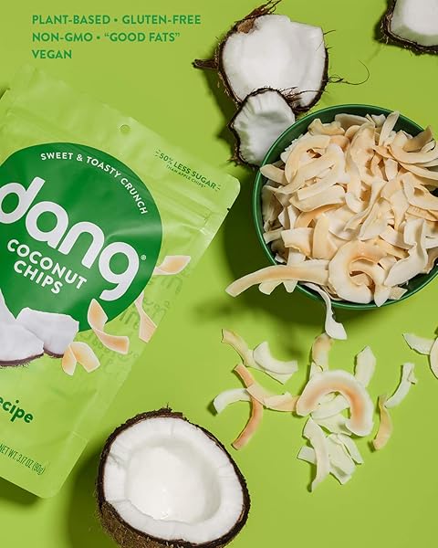DANG TOASTED COCONUT CHIPS | ORIGINAL | 1 PACK | VEGAN, GLUTEN FREE, NON GMO, HEALTHY SNACKS MADE WITH WHOLE FOODS | 3.17 OZ RESEALABLE BAG