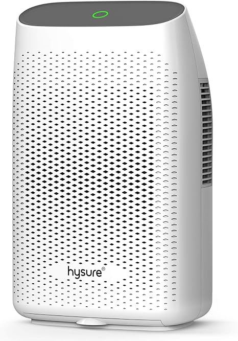 Hysure Silencieux Et Portable Deshumidificateur Electrique Purificateur D Air Deshumidificador Home Deshumidificateur Pour Salle De Bain Vide Sanitaire Chambre A Coucher Rv Chambre De Bebe Blanc 01ml Amazon Ca Maison Et Cuisine