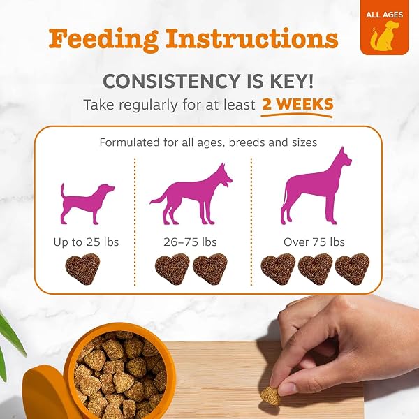 ZESTY PAWS OMEGA 3 FISH OIL FOR DOGS – ZESTY PAW DOG VITAMINS AND SUPPLEMENTS FOR HIP, JOINT & SKIN, BACON (90 CHEWS)
