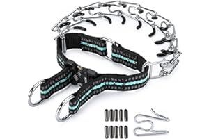 JIPIMON Pinch Collar for Dogs Adjustable Dog Training Collar with Comfortable Rubber Tip and Quick Release Buckle for Small Medium Large Dogs (Medium, Teal)