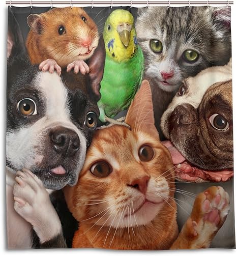 Amazon Sunlomeグループ猫犬ハムスターオウムパターン生地耐性防水シャワーカーテンと12 C Rings 66 By 72 66 X 72 Gp64c44s62 シャワーカーテン ホーム キッチン オンライン通販