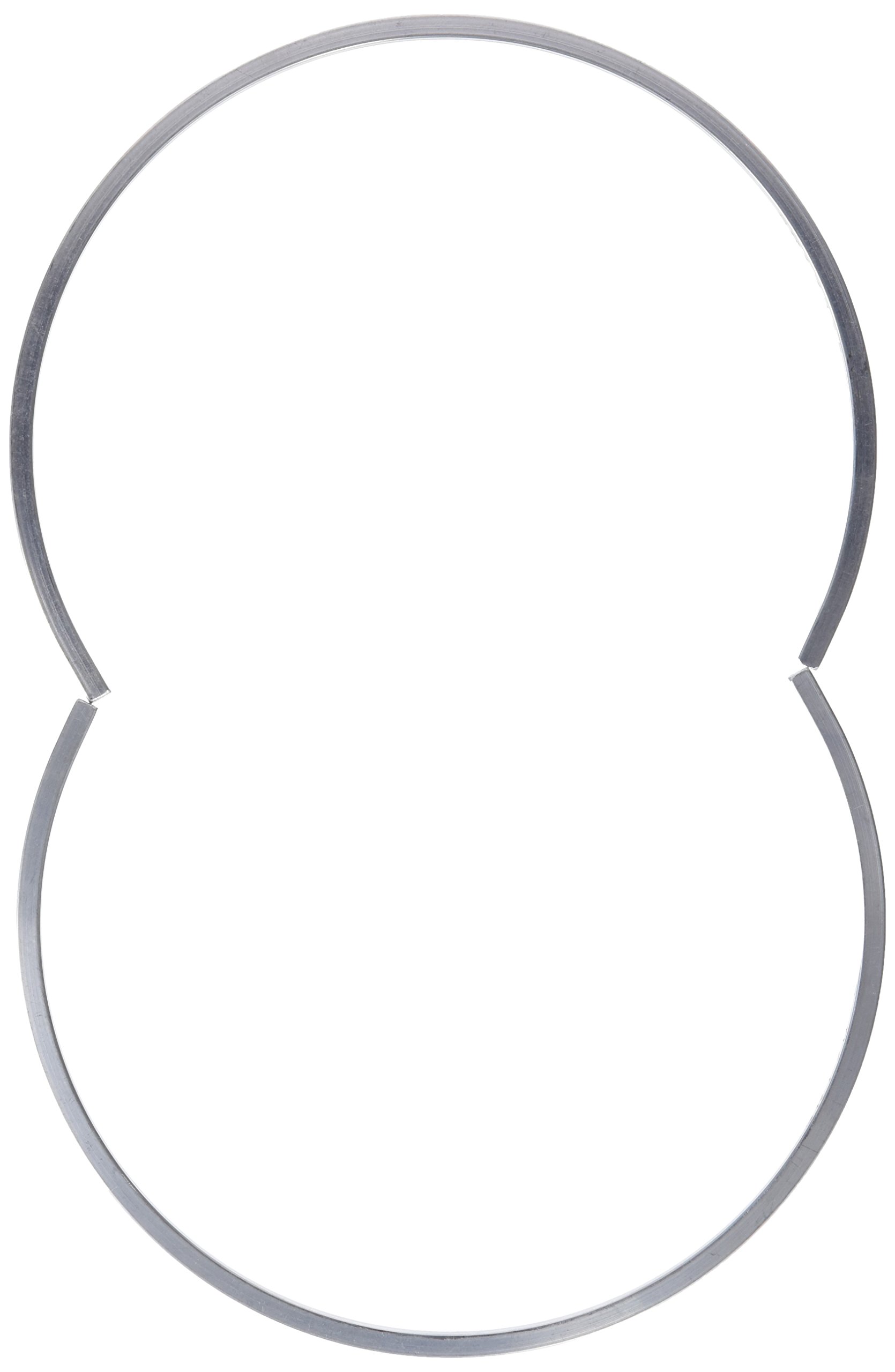 NSK SR170/5 Single Fixing Ring for Plummer Blocks