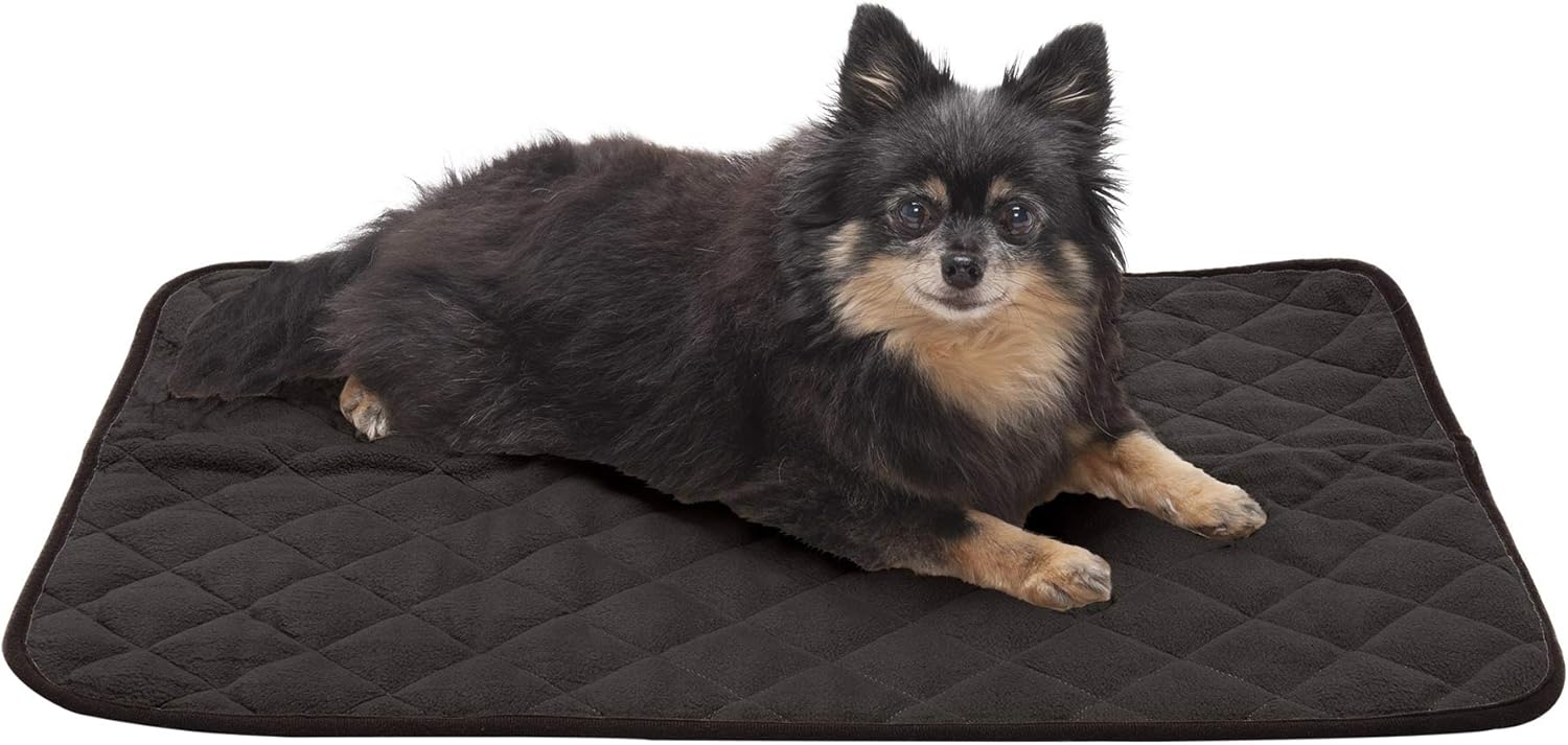 quilted pet blanket