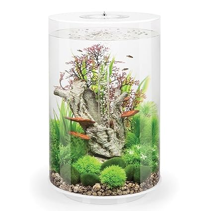 biOrb Aquarium in Zylinder-Form, mit mehrfarbiger LED-Beleuchtung und Fernbedienung, 30 l