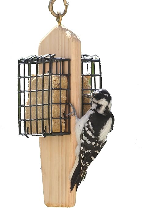 Amazon Com Birds Choice 2 Cake Hanging Suet Feeder Garden