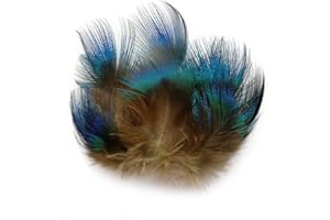 LWINGFLYER 100PCS 1.5"-3" Small Natural Feathers for Craft Dream Catchers (Blue Peacock Feather)