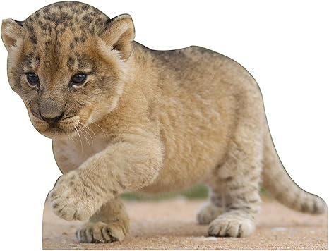 Amazon Co Jp ジャングルサファリ ベビーライオンカブ アニマルスタンドアップ写真ブース小道具 背景幕 パーティー装飾 シーンセッター 段ボール切り抜き ホーム キッチン