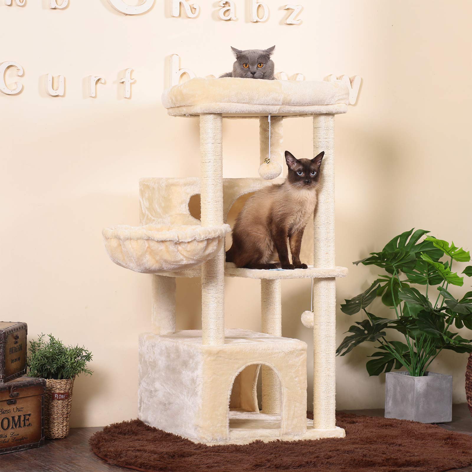 2 level cat condo