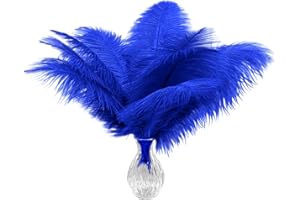 Piokio 10pcs Natural Blue Ostrich Feathers 10-12 inch (25-30cm) Bulk Feathers for Home Decoration and DIY Clothes Decoration, Gatsby Decorations