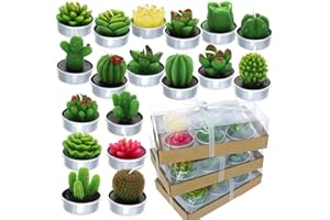 GIFTEXPRESS 18 Pcs Succulent Cactus Candles No Repeat Style, Delicate Smokeless Scented Tealight Candles for Home Décor, SPA, Wedding, Valentine's Day, Birthday Gift, Anniversary Celebration