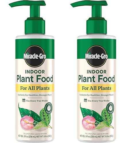 Amazon.com : Spider Plant Fertilizer  Liquid Plant Food for Longer  Runners, Greener Leaves & Healthy New Growth, 8 oz : Patio, Lawn & Garden