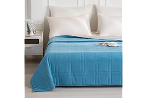 GOHOME King Size Weighted Blanket(20lbs, 88"x104"), Queen or King Size Bed Adult Heavy Blanket with 100% Soft Cotton and Glass Beads, Light Blue