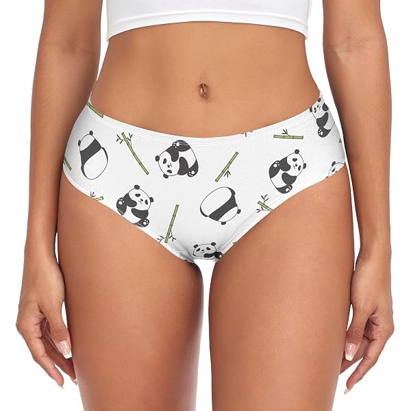 Dallonan Women's Underwear Brief Breathable Soft Bamboo Fiber