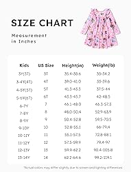 Disney Princess Toddler Girl Dress Character Print