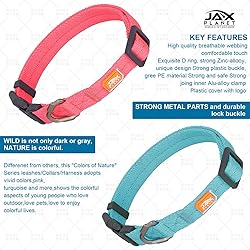 Soft Touch Collar & Rope Leash :CofN Rope Dog Leash