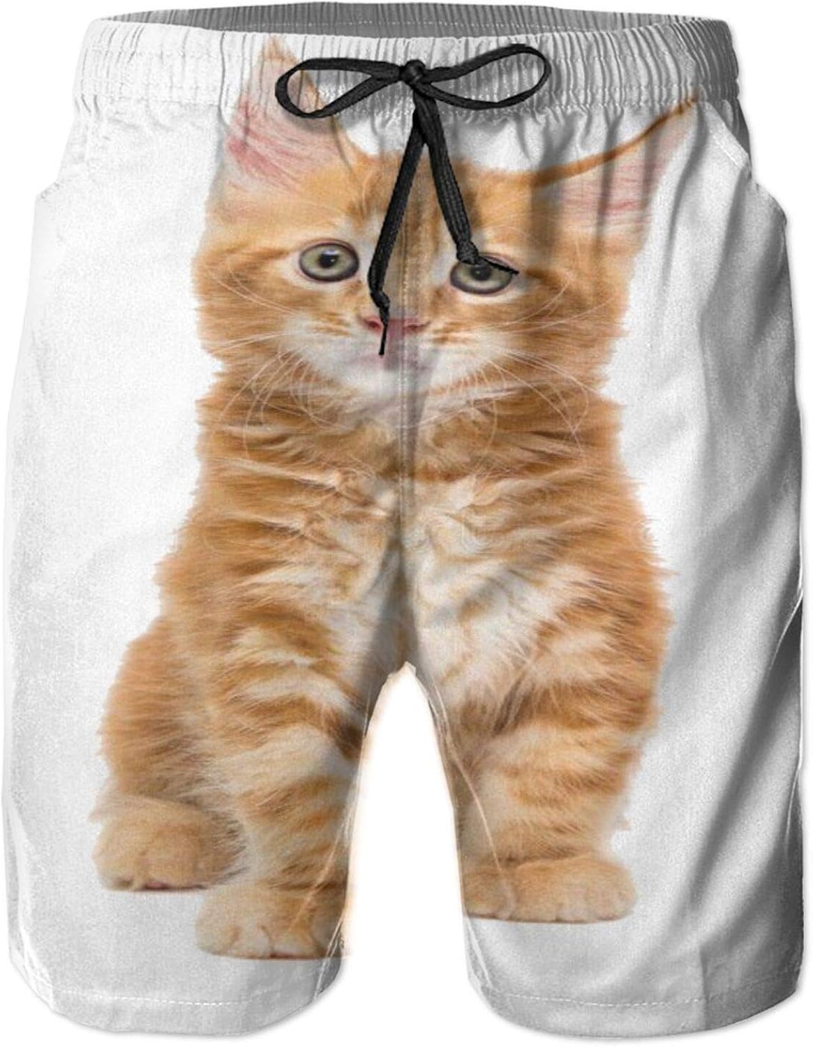 QUEMIN Maine Coon Kitten Cat 3D Printed Mens Casual Swim Trunks Quick
