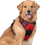rabbitgoo Large Dog Harness No Pull Reflective Front Back Clip Adjustable XL Red