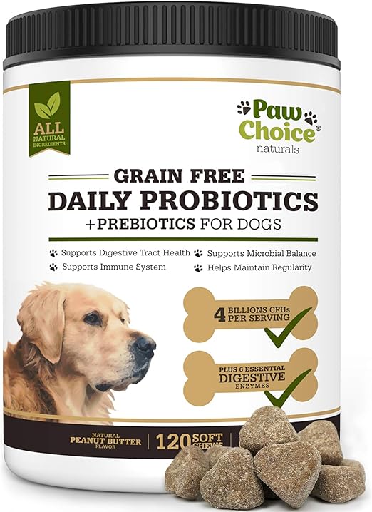natural prebiotics and probiotics for dogs