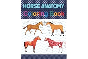 Horse Anatomy Coloring Book: Introduction to Veterinary Anatomy and Physiology Workbook. Simple Horse Body Parts For Children Vet Students & even ... Coloring and Activity Book for Boys & Girls.