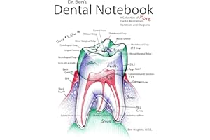 Dr. Ben's Dental Notebook: A Collection of Dental Illustrations, Handouts and Diagrams