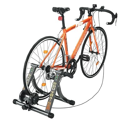rad max bike trainer