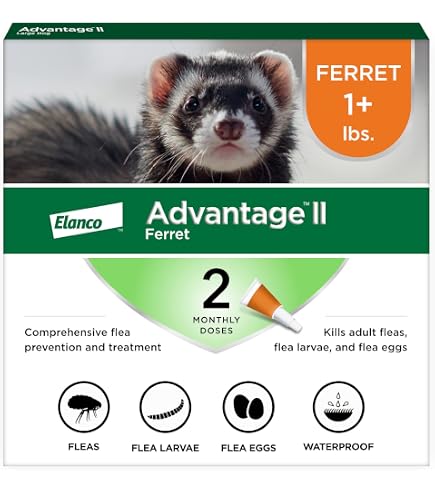 Amazon.com : Ferret Clothes Set Small Animal Harness and Leash