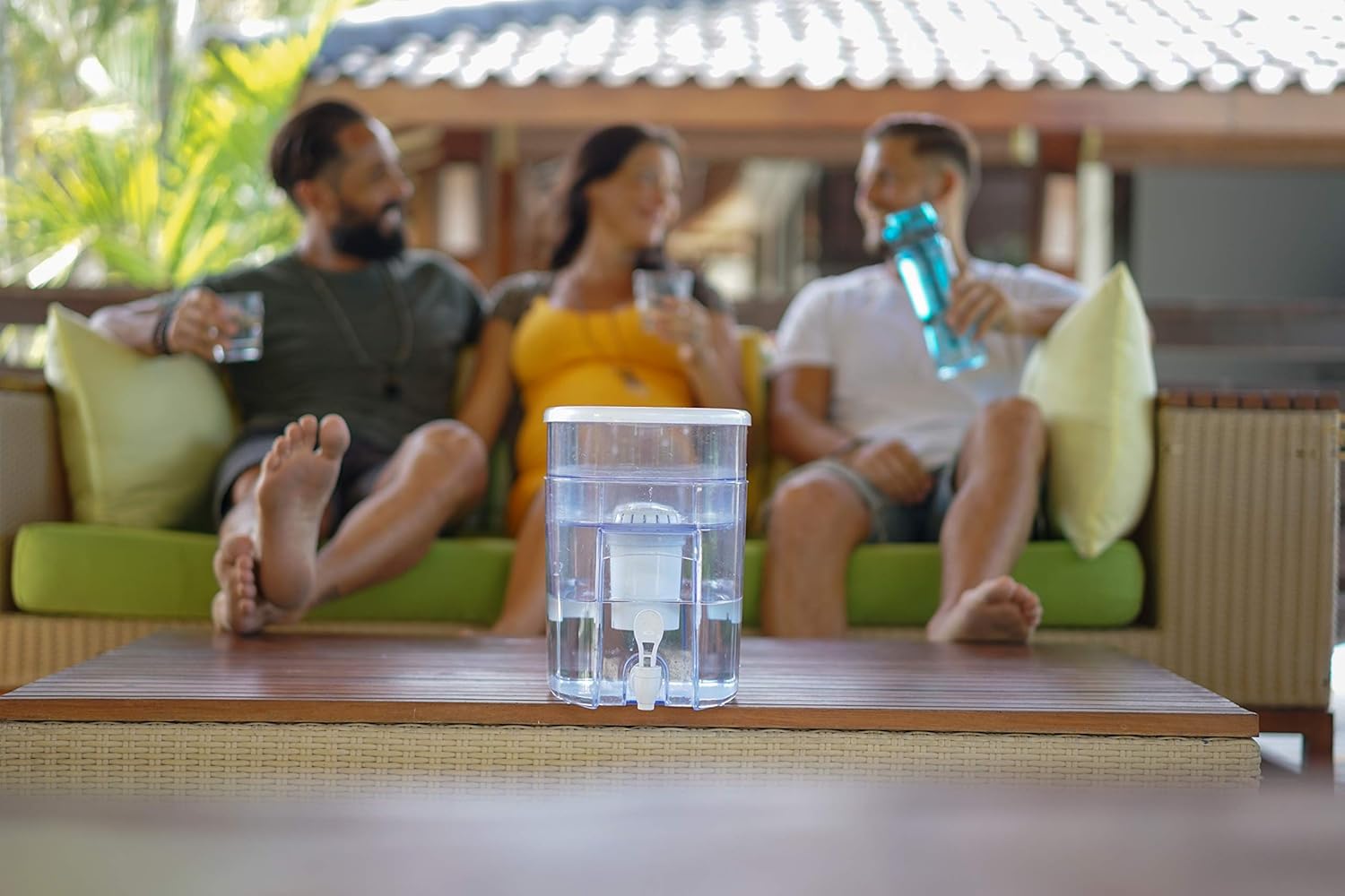 Invigorated Water PH001 Alkaline Water Filter – Replacement Water Filter Ionized Water Filter Cartridge - for Invigorated Living Pitcher, Ionizer, Purifier, 96 Gallon Capacity (3 Pack): Home & Kitchen