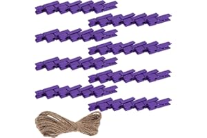 Operitacx 100pcs Purple Mini Wooden Clothes Pins with Jute Twine for Secure Hold and Displaying Photos Crafts
