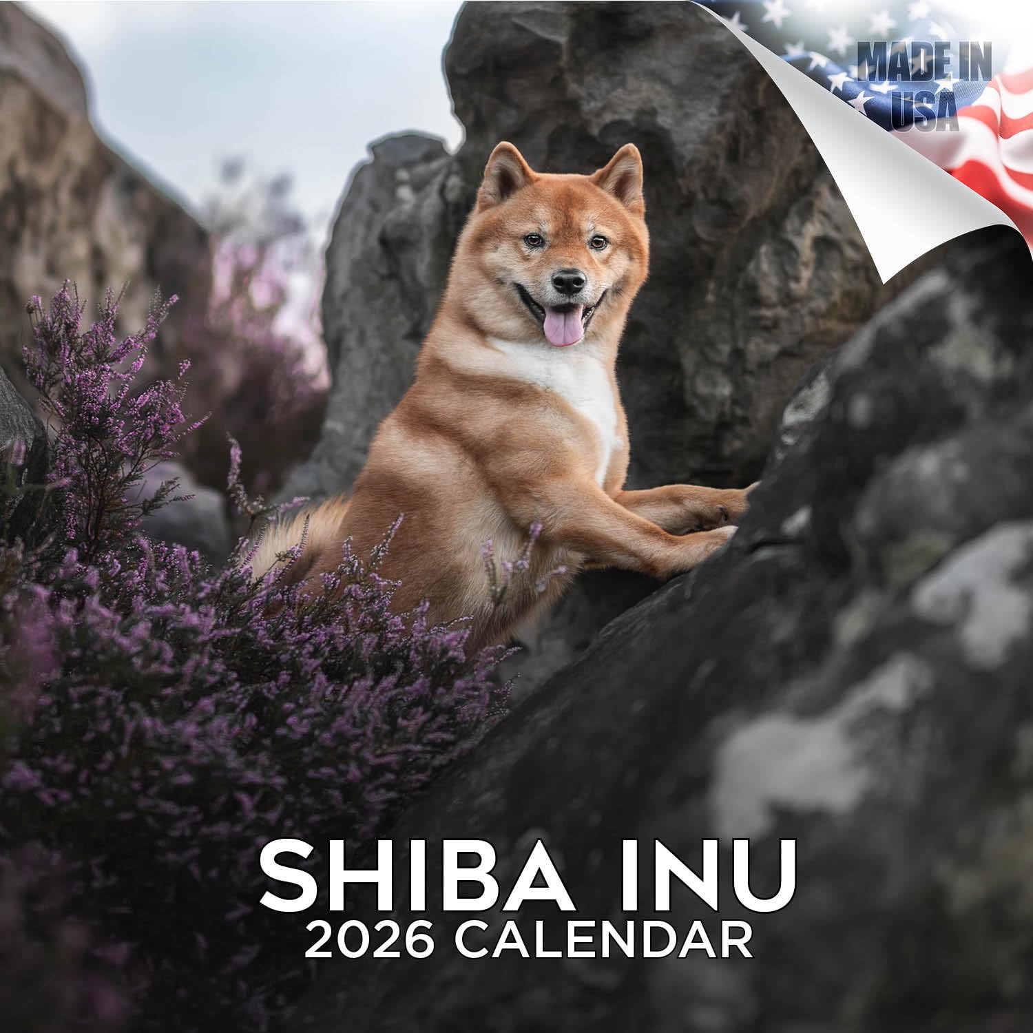 Shiba Inu Calendar 2026 by MegaCalendars – Monthly Dog Breed Wall Calendar, Made in USA