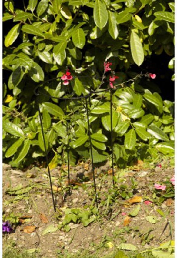 Gro-Links Plant Support 20cm x 50cm 4 Pack