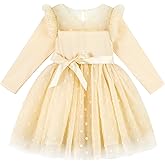 Miipat Toddler Girls Tulle Dress Long Sleeve Tutu Party Dress Little Kids Ruffle Princess Dresses