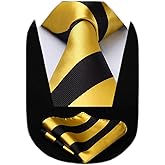 HISDERN Stripe Tie Mens Ties with Pocket Square Set Classic 3.4'' Silk Formal Necktie Handkerchief for Business Wedding