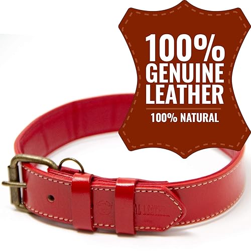 Logical Leather Dog Collar Best Full Grain Padded Genuine